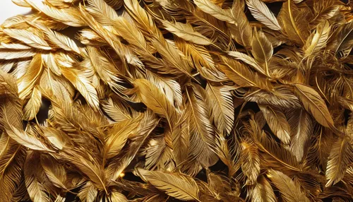 Write a poetic description of shimmering golden feathers adorning a flock of birds in flight.,einkorn wheat,durum wheat,wheat ear,khorasan wheat,triticum durum,wheat grain,triticale,strands of wheat,w