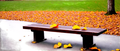 park bench,yellow rose on red bench,autumn frame,herbst,benches,fallen leaves,bench,autumn in the park,red bench,man on a bench,autumn still life,pieces of orange,robin redbreast,autumn leaves,fall,fallen leaf,autumn park,persimmon,picnic table,autumn songs,Photography,Documentary Photography,Documentary Photography 14