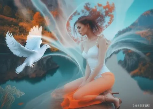 fantasy picture,fantasy art,dove of peace,faerie,angel wings,doves of peace,angel wing,faery,world digital painting,fairy tern,white feather,peace dove,white dove,winged heart,fantasy portrait,photoma