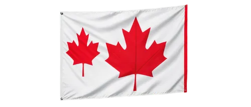 Canada flag, waving, red maple leaf, white background, detailed texture, realistic fabric, blowing in wind, dynamic movement, soft focus, shallow depth of field, panoramic view, warm lighting, vibrant