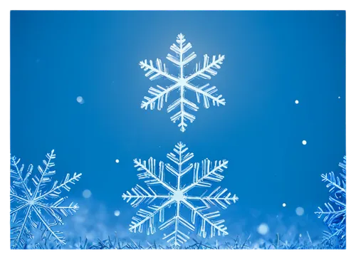 snowflake background,christmas snowy background,christmas snowflake banner,winter background,blue snowflake,christmasbackground,christmas background,snow flake,christmas wallpaper,white snowflake,christmas motif,christmas icons,ice crystal,frostily,snowflake,snow flakes,christmas snow,snowflakes,wintermute,gold foil snowflake,Illustration,Black and White,Black and White 19