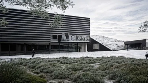 garden, winter, snow, black metal facade,performing arts center,landscape design sydney,landscape designers sydney,arq,glass facade,music conservatory,archidaily,garden design sydney,business school,a