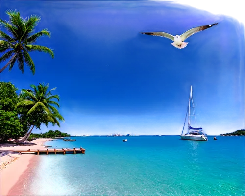 tobago,grenadines,mustique,bird island,caribbean,caribbean sea,roatan,bequia,bvi,caribbean beach,praslin,kurumba,the caribbean,tropical sea,guadeloupe,guadeloupean,veligandu island,flying island,boracay,abacos,Photography,Black and white photography,Black and White Photography 07