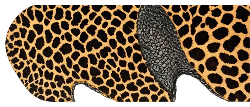 leopardskin,derivable,cheeta,leopardus,leopard head,leopard,seamless texture,animal print,cheetor,cheetah,leopards,cheetah print,cheetahs,gradient mesh,zwelithini,gepard,tingatinga,katoto,sumatrana,ocelots,Photography,Black and white photography,Black and White Photography 03