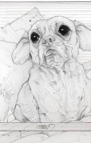 dog drawing,dog illustration,dog line art,line art animal,puggle,dog frame,peanut bulldog,pet portrait,line art animals,pug,sheet drawing,ball point,bulldog,the french bulldog,wicket,wrinkle,shih tzu,