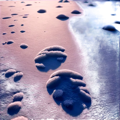 footprints,footprints in the sand,foot prints,bird footprints,footsteps,animal tracks,footprint,baby footprints,footprint in the sand,footstep,snow tracks,snow trail,tracks in the sand,foot print,baby footprint in the sand,paw prints,moonscape,lunar landscape,sand paths,snowdrifts,Illustration,Black and White,Black and White 27