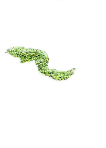 aquatic herb,duckweed,water spinach,hydrilla,frog background,aquatic plant,water frog,azolla,pondweed,microlepis,anchorena,watermilfoil,pond frog,water lily leaf,pelophylax,mosquitofish,eelgrass,spiralfrog,green water,cyanobacteria,Illustration,Realistic Fantasy,Realistic Fantasy 06