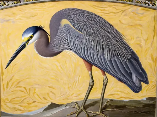 White-faced Heron (captive),great heron,pacific heron,spoon heron,egretta novaehollandiae,gray heron,demoiselle crane,great blue heron,cow heron,common heron,heron,herons,pied heron,white-faced heron,