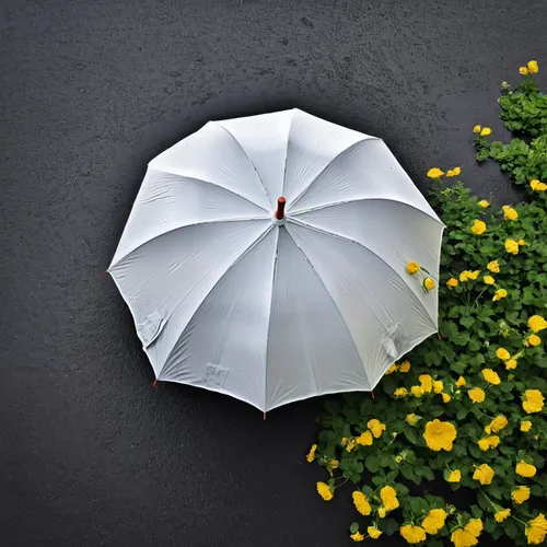 Sent la pluie comme un ete anglais
Comme les notes d'une chanson lointaine
Sortant de derriere d'un poster esperant
Que la vie ne fut si longue,aerial view umbrella,japanese umbrella,summer umbrella,u