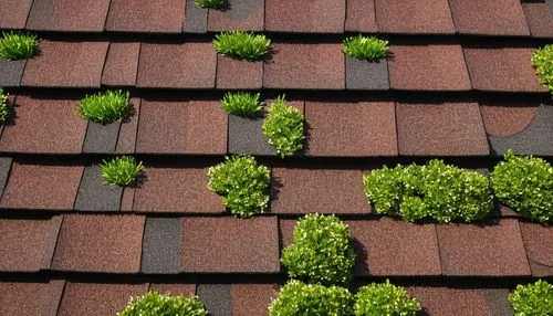 roof tiles,roof landscape,house roofs,tiled roof,roofs,house roof,roof tile,roofing,grass roof,roof plate,slate roof,shingled,roof panels,rooflines,roof,the old roof,red roof,thatch roof,roofing work,shingles,Art,Classical Oil Painting,Classical Oil Painting 25