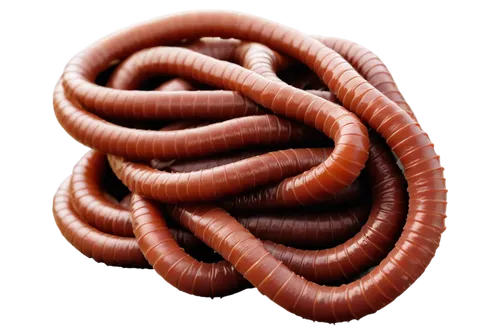 Worms, drain pipe, multiple, slimy, segmented body, brown skin, tiny eyes, wiggling, tangled together, dark background, low-key lighting, close-up shot, shallow depth of field, high-contrast image, ci