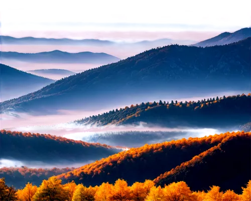 autumn mountains,foggy landscape,autumn fog,mountainous landscape,beech mountains,mountain landscape,carpathians,japanese mountains,landscape background,autumn landscape,foggy mountain,northern black forest,anana mountains,autumn background,nature landscape,landscape nature,windows wallpaper,beautiful landscape,autumn morning,mountain scene,Photography,Fashion Photography,Fashion Photography 13