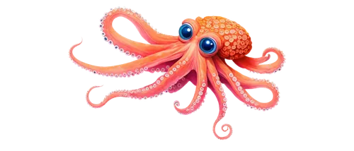 octopus vector graphic,pink octopus,fun octopus,octopus,cephalopod,octo,octopi,cnidarian,tentacular,sea anemone,astropecten,star anemone,octopus tentacles,echinoderm,octosyllabic,pulpo,cinema 4d,octopussy,architeuthis,octopuses,Illustration,Paper based,Paper Based 17