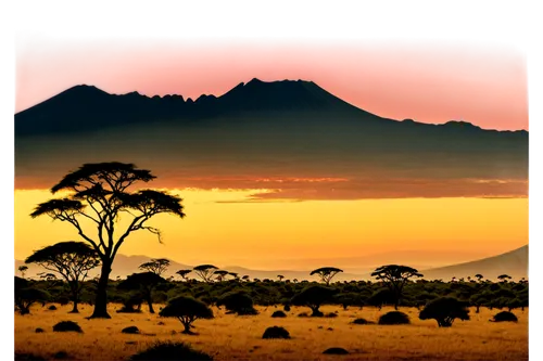 tsavo,serengeti,savane,zambezian,samburu,laikipia,makgadikgadi,isiolo,manyara,niassa,batswana,mount kilimanjaro,karamoja,baringo,africa,afrika,etosha,karamojong,namibia,kiptanui,Illustration,American Style,American Style 15