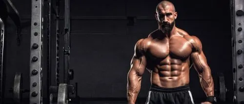 physiques,clenbuterol,pec,obliques,body building,thibaudeau,serratus,muscularity,bodybuilding,hypertrophy,shredded,anabolic,bodybuilder,stanozolol,abdominals,muscularly,macdevitt,six pack abs,trenbolone,musculature,Conceptual Art,Daily,Daily 05