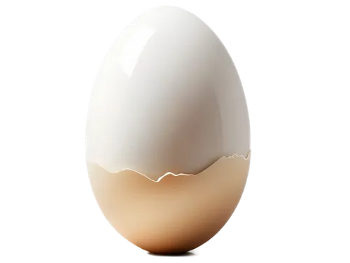 bisected egg,eggshell,egg shaker,large egg,egg shell,organic egg,chicken egg,egg,soy egg,painted eggshell,egg shells,brown egg,hen's egg,goose eggs,boiled egg,egg cup,eggcup,crystal egg,eggshells,egg slicer,Photography,Black and white photography,Black and White Photography 07