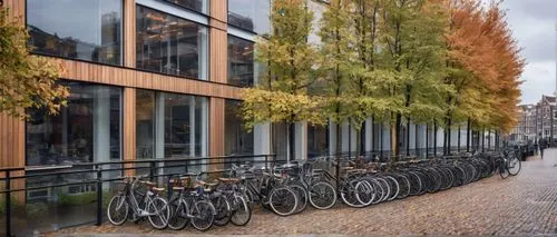 parked bikes,rikshospitalet,obike munich,radboud,corten steel,rigshospitalet,mvrdv,hogeschool,hafencity,bicycles,arkitekter,appartment building,universitet,architekten,cohousing,urban design,architektur,zumthor,akademie,row of windows,Conceptual Art,Fantasy,Fantasy 28