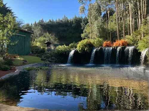 plants, trees, tiny artificial waterfall,rotorua,landscape designers sydney,naples botanical garden,fountain pond,garden pond,catarpe valley,landscape design sydney,mineral spring,botanical gardens,ko