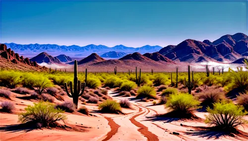 desert desert landscape,desert landscape,desert background,desert,capture desert,arid landscape,the desert,argentina desert,desert plants,mojave desert,sonoran desert,flowerful desert,deserts,big bend,landscapre desert safari,desert plant,desertlike,ariz,semidesert,deserto,Conceptual Art,Oil color,Oil Color 10