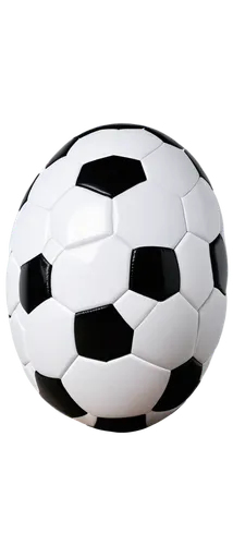 soccer ball,football fan accessory,cycle ball,pallone,football equipment,armillar ball,corner ball,sports toy,sports equipment,soccer-specific stadium,soccer,futebol de salão,women's football,lacrosse ball,wall & ball sports,ball-shaped,indoor games and sports,children's soccer,footballer,rugby ball,Illustration,Black and White,Black and White 15