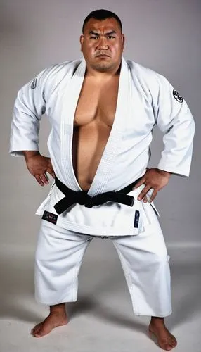 raw photo, burly chubby guy, Tongan, 38 years old, round face, fat, wet skin, serious face, black skin,  Judo athlete, wearing Judo gi, full body shot, hands on waist, body hair on chest,a sumo fighte