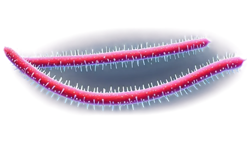 microtubules,flagella,microtubule,membranacea,microvilli,spirochetes,tubules,bilayer,acinar,ciliated,flagellum,clostridium,aligners,serratia,polychaete,transmembrane,softspikes,ecoli,shigella,macula,Conceptual Art,Daily,Daily 34