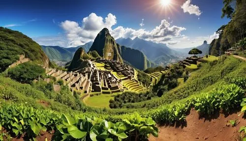 rice terrace,machupicchu,machu picchu,rice terraces,mountainous landscape,machu pichu,picchu,banaue,tea plantations,marvel of peru,machu,ifugao,yangshao,mountain landscape,urubamba,tea plantation,landscape background,harau,tea field,mountain scene,Photography,General,Realistic