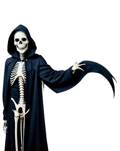 skelemani,skeletal,skeleton,skeleltt,skelley,grim reaper,danse macabre,vintage skeleton,skelid,boneparth,skelton,skelly,human skeleton,gothicus,lich,flickering,sans,spookily,grimm reaper,spookier,Art,Artistic Painting,Artistic Painting 24