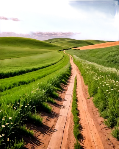 palouse,onion fields,wheat fields,wheat crops,wheat field,green fields,farmland,rolling hills,cropland,landscape background,green wheat,vegetables landscape,prairies,rapeseed,green landscape,agricultural,farm landscape,rural landscape,wheatfield,grain field panorama,Photography,Fashion Photography,Fashion Photography 26