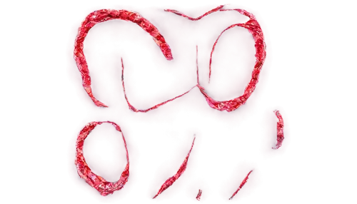 flagella,arteriole,candy canes,heartworms,aorta,goo,twizzlers,ebola,microtubules,ophiusa,tiktok icon,rna,nematoda,loops,arteriovenous,pseudoknot,tubules,om,arterburn,intestine,Photography,Fashion Photography,Fashion Photography 15