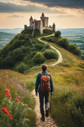 backpacker, young adult, casual wear, hiking boots, backpack, walking stick, scenic countryside, rolling hills, western Europe, rural landscape, afternoon sunlight, warm atmosphere, few fluffy clouds,