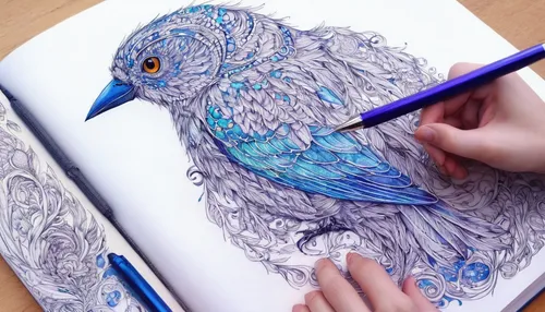 bird drawing,bird illustration,blue parrot,bird painting,ornamental bird,line art birds,colouring,coloring for adults,watercolor bird,flower and bird illustration,coloring book,feather pen,coloring book for adults,colourful pencils,an ornamental bird,blue bird,blue parakeet,colour pencils,coloring picture,colorful birds,Illustration,Abstract Fantasy,Abstract Fantasy 07