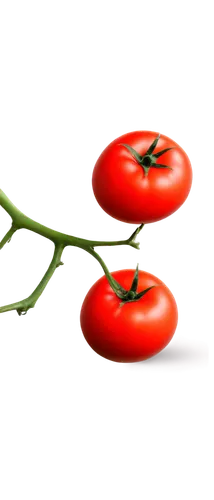 Ripe tomatoes, still life, solo, red skin, green stem, juicy flesh, glossy surface, natural light, 3/4 composition, shallow depth of field, warm color tone, cinematic lighting, detailed texture, vibra