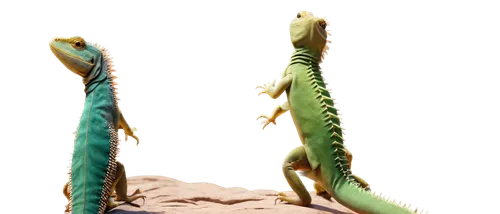 Free, lizards, solo, green scales, spiky back, long tail, standing, looking up, 3/4 composition, warm sunlight, shallow depth of field, realistic texture, vibrant colors, cinematic lighting.,two small