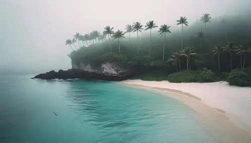 Little tall island, solo, exotic getaway, turquoise crystal clear waters, coral reef, white sandy beach, palm trees swaying gently, seagulls flying overhead, rocky cliffs, lush green tropical vegetati