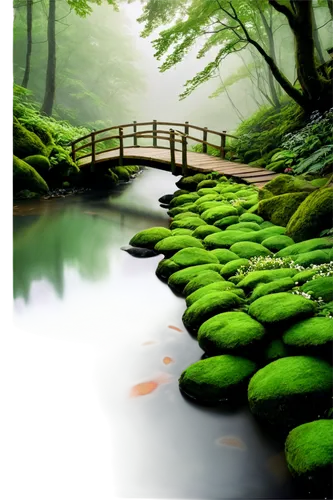 green landscape,moss landscape,green forest,nature background,nature wallpaper,wooden bridge,frog background,aaaa,landscape background,green wallpaper,verdant,japan landscape,green waterfall,forest path,japanese garden,green trees with water,forest landscape,greenness,nature landscape,background view nature,Conceptual Art,Sci-Fi,Sci-Fi 21