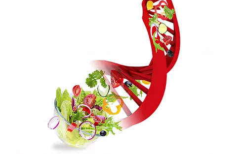 flowers png,wreath vector,garnish,carnivorous plant,bookmark with flowers,garnishes,candy cane sorrel,garden cress,salad garnish,chili oil,catering service bern,vegetable skewer,flower illustrative,christmas ribbon,st george ribbon,food styling,culinary herbs,aromatic herbs,fattoush,flower design