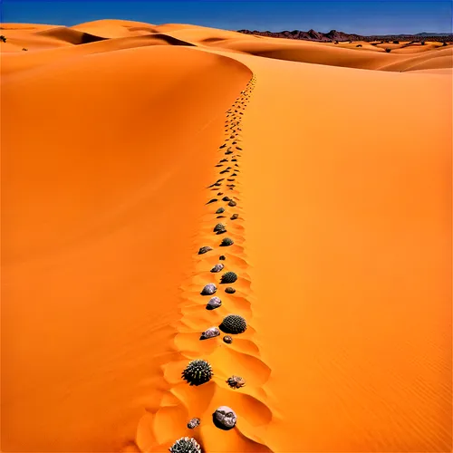 libyan desert,dead vlei,namib desert,namib,sahara,sand road,admer dune,sahara desert,gobi desert,sand paths,namibia,capture desert,crescent dunes,the gobi desert,arid landscape,namib rand,argentina desert,desert desert landscape,sossusvlei,valley of death,Illustration,Black and White,Black and White 14