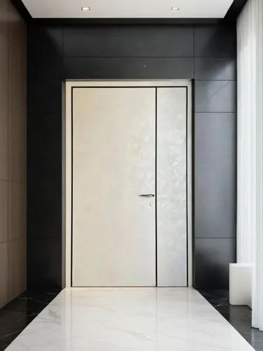 metallic door,levator,hinged doors,room door,steel door,elevators,door,modern minimalist bathroom,elevator,entryways,doorway,hallway space,the door,doors,enfilade,entryway,search interior solutions,open door,associati,travertine