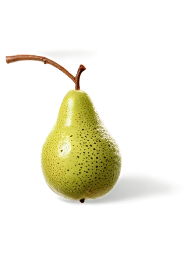 Pear, fruit, brown spots, fungal infection, scab disease, blight damage, rotten flesh, white powdery patches, olive green skin, glossy surface, macro photography, close-up shot, shallow depth of field