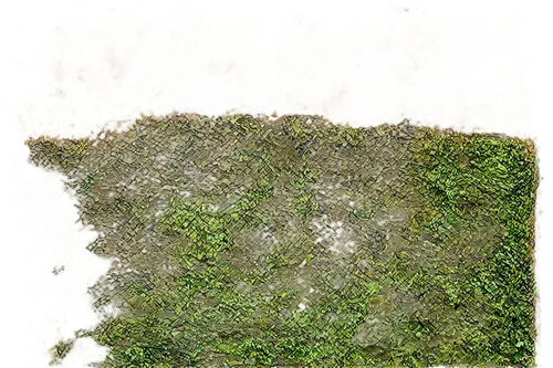 turf roof,block of grass,turfgrass,bentgrass,artificial grass,moss landscape,halm of grass,grass roof,tree moss,azolla,brick grass,astroturf,zoysia,pythium,groundcover,forest moss,ground cover,moss,fieldturf,sphagnum,Conceptual Art,Fantasy,Fantasy 24