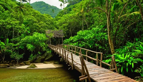 wooden bridge,teak bridge,hanging bridge,valdivian temperate rain forest,borneo,canopy walkway,vietnam,tropical and subtropical coniferous forests,bamboo forest,rain forest,tropical jungle,hiking path,rainforest,herman national park,scenic bridge,conguillío national park,log bridge,cabaneros national park,walkway,footbridge,Illustration,Realistic Fantasy,Realistic Fantasy 04