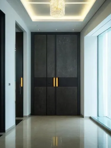 metallic door,hallway space,levator,hinged doors,elevators,hallway,search interior solutions,room door,contemporary decor,penthouses,foyer,interior modern design,entryway,corridors,entranceway,corridor,chambres,entryways,interior decoration,enfilade