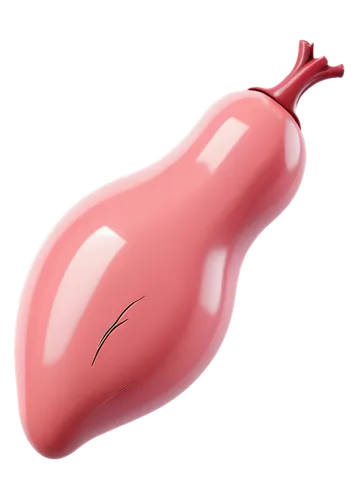 liver,kidney bean,uterine,medical illustration,aorta,glucometer,kidney beans,airway,kidney,testicular cancer,a pistol shaped gland,brauseufo,ovary,blob,coronary vascular,baukegel,coronary artery,ocarina,scarlet gourd,thyroid,Illustration,Japanese style,Japanese Style 03