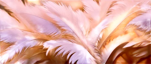 Soft feather texture, white feathers, gentle ruffles, subtle sheen, warm lighting, close-up, macro shot, shallow depth of field, pastel color tone, delicate composition.,a bunch of feathers are shown 