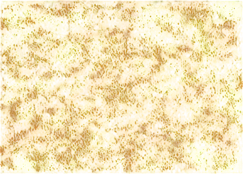 sunflower lace background,monolayer,yellow wallpaper,kngwarreye,seamless texture,illustris,degenerative,background pattern,petromatrix,biofilm,chrysanthemum background,lemon pattern,biofilms,flowers png,missing particle,sargassum,bilayer,tetrads,monolayers,candy corn pattern,Conceptual Art,Oil color,Oil Color 03