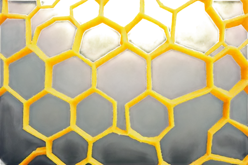 honeycomb grid,honeycomb structure,building honeycomb,hive,latticework,bee eggs,fullerene,bee hive,hexagonal,lattice window,lattice,superlattice,hexagons,bee,apiculture,lattices,apiary,bienen,beeswax,hex,Illustration,Vector,Vector 10