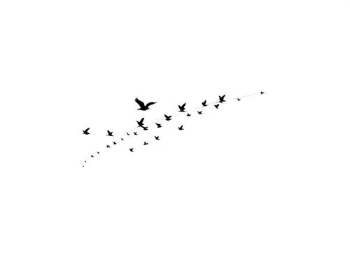 a black and white image of birds flying over land,mumuration,birds outline,birds flying,butterfly vector,dandelion flying,birds in flight,Design Sketch,Design Sketch,Rough Outline