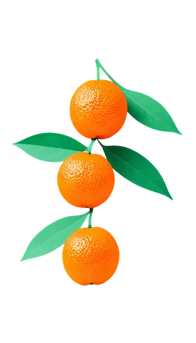 valencia orange,tangerines,calamondin,kumquat,kumquats,satsuma,mandarins,mandarin oranges,tangerine fruits,orange fruit,asian green oranges,minneola,citrus,tangerine tree,oranges,navel orange,clementines,mandarin orange,orange tree,defense,Unique,Paper Cuts,Paper Cuts 05