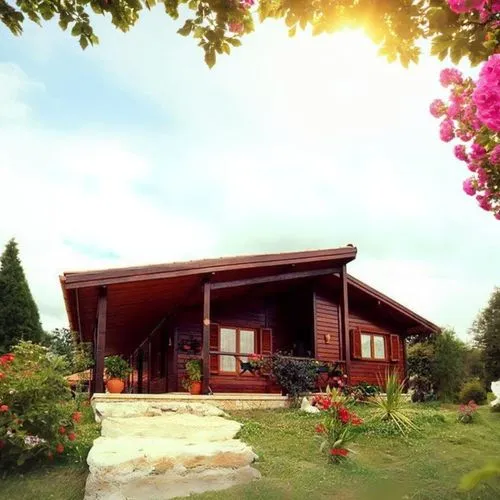 chalet,holiday villa,summer cottage,3d rendering,summer house,holiday home,wooden house,country house,beautiful home,summerhouse,dreamhouse,render,bungalow,amoenus,country cottage,log home,guesthouse,cottage,3d render,dacha